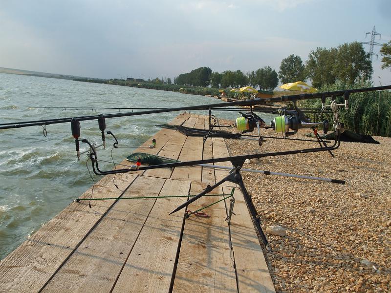 CN 2013-Corbu, CT, Lotul Overten - dscf8019.jpg